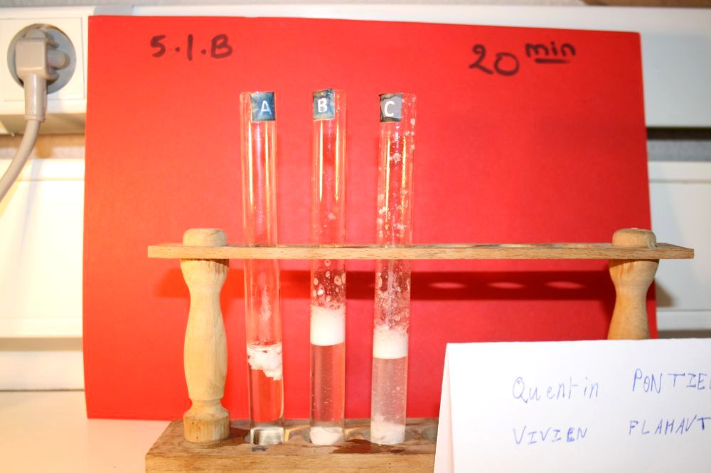 gal/LES_CINQUIEMES/ACTIVITE DIGESTION IN VITRO/Groupe_03/Groupe03_T_00h20min/Groupe03_temps00H20min_23.jpg